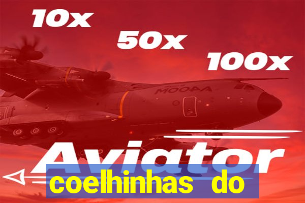 coelhinhas do brasil site